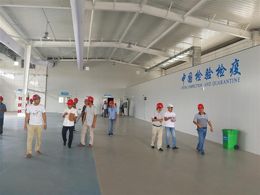 尊龙凯时人生就是搏 -官网首页