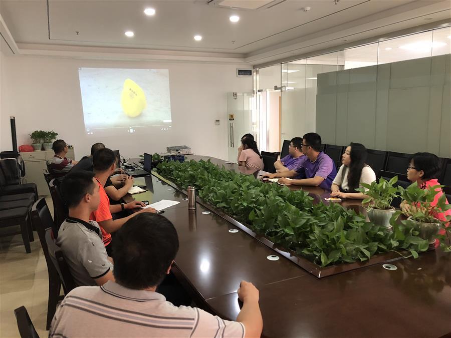 尊龙凯时人生就是搏 -官网首页