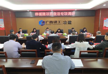 公司开展停唬唬唬唬缓建项目专项调研